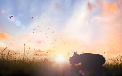 3 Prayers to Help You Let Go of an Unhealthy Relationship