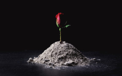 How Can God Give You Beauty for Ashes?