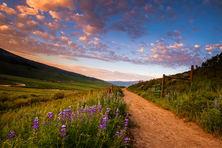 Following Gods plan for your life