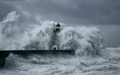 Trusting God in the Storm : Finding Hope in Hard Times