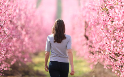 When God Calls You to Step Out In Faith